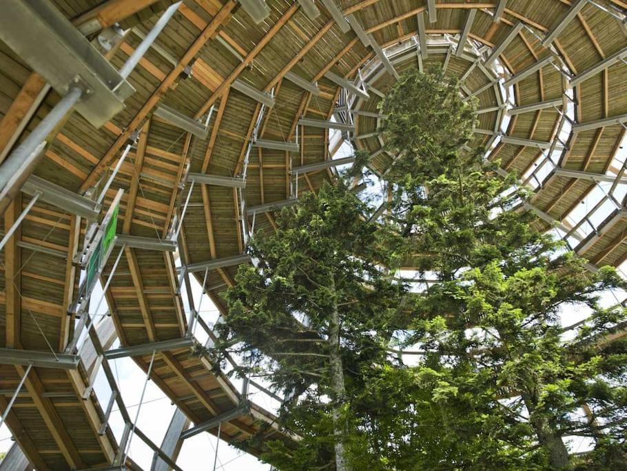 Cozy I Blockhuette Im Nationalpark I Ferienwohnung Neureichenau Εξωτερικό φωτογραφία